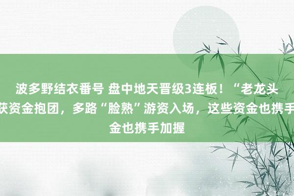 波多野结衣番号 盘中地天晋级3连板！“老龙头们”获资金抱团，多路“脸熟”游资入场，这些资金也携手加握