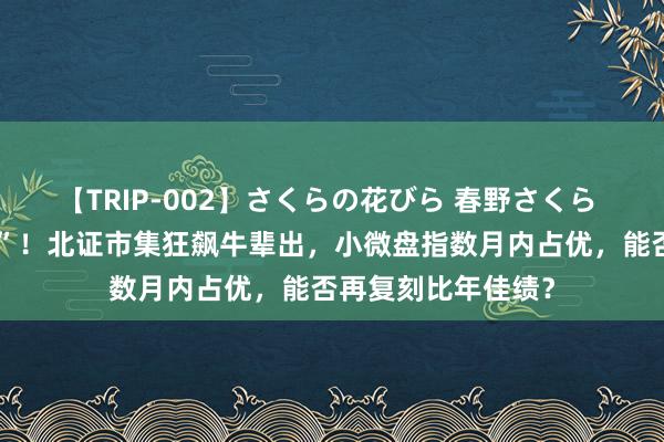 【TRIP-002】さくらの花びら 春野さくら 资金集火“微盘股”！北证市集狂飙牛辈出，小微盘指数月内占优，能否再复刻比年佳绩？