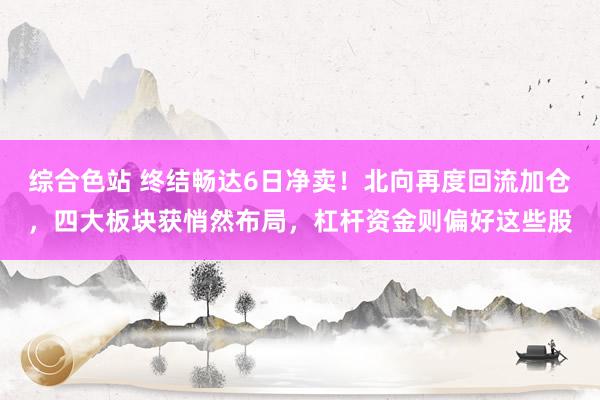 综合色站 终结畅达6日净卖！北向再度回流加仓，四大板块获悄然布局，杠杆资金则偏好这些股