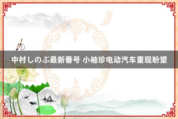 中村しのぶ最新番号 小袖珍电动汽车重现盼望