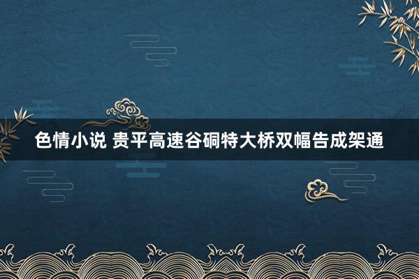 色情小说 贵平高速谷硐特大桥双幅告成架通