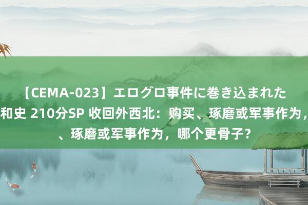 【CEMA-023】エログロ事件に巻き込まれた 人妻たちの昭和史 210分SP 收回外西北：购买、琢磨或军事作为，哪个更骨子？