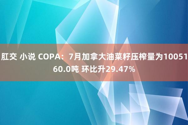 肛交 小说 COPA：7月加拿大油菜籽压榨量为1005160.0吨 环比升29.47%