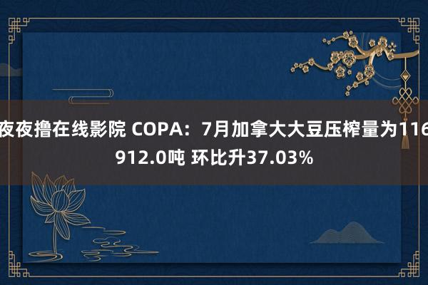 夜夜撸在线影院 COPA：7月加拿大大豆压榨量为116912.0吨 环比升37.03%