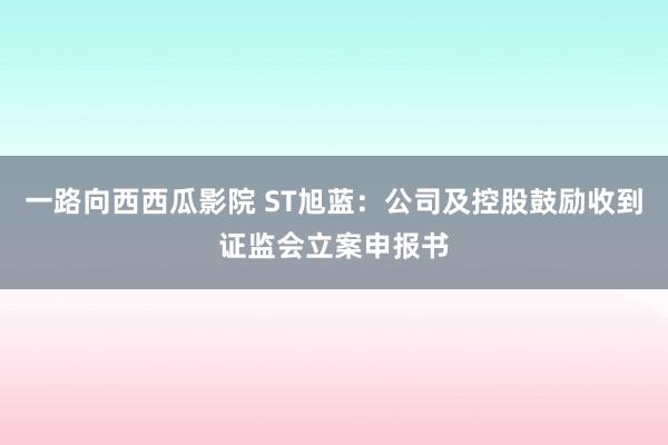 一路向西西瓜影院 ST旭蓝：公司及控股鼓励收到证监会立案申报书