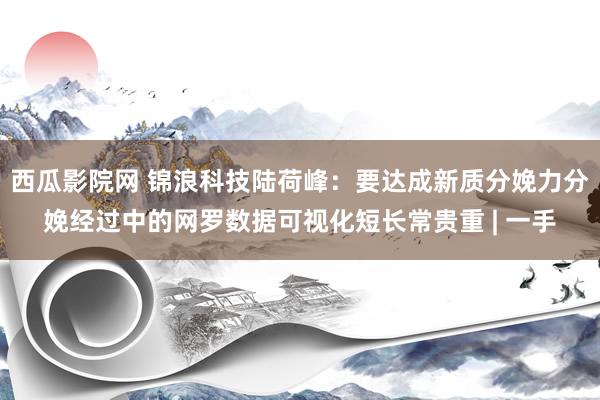 西瓜影院网 锦浪科技陆荷峰：要达成新质分娩力分娩经过中的网罗数据可视化短长常贵重 | 一手