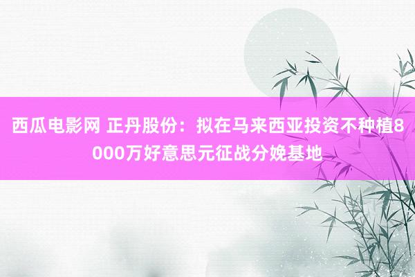 西瓜电影网 正丹股份：拟在马来西亚投资不种植8000万好意思元征战分娩基地