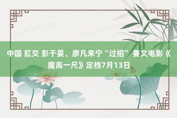 中国 肛交 彭于晏、廖凡来宁“过招” 姜文电影《魔高一尺》定档7月13日