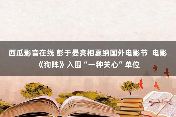 西瓜影音在线 彭于晏亮相戛纳国外电影节  电影《狗阵》入围“一种关心”单位