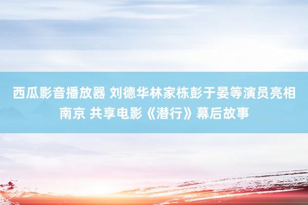 西瓜影音播放器 刘德华林家栋彭于晏等演员亮相南京 共享电影《潜行》幕后故事