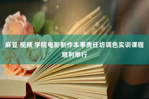 麻豆 视频 学院电影制作本事责任坊调色实训课程顺利举行