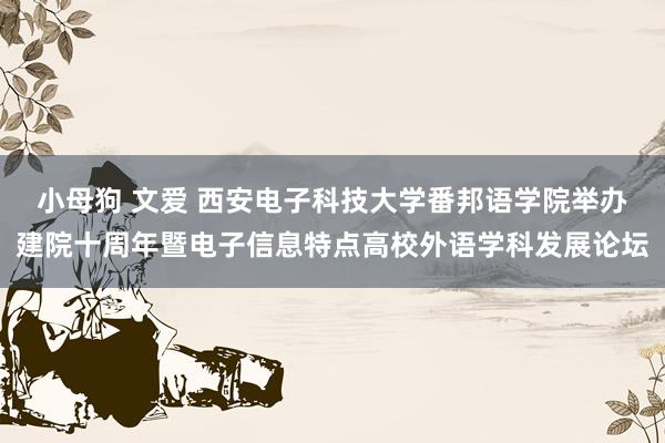 小母狗 文爱 西安电子科技大学番邦语学院举办建院十周年暨电子信息特点高校外语学科发展论坛